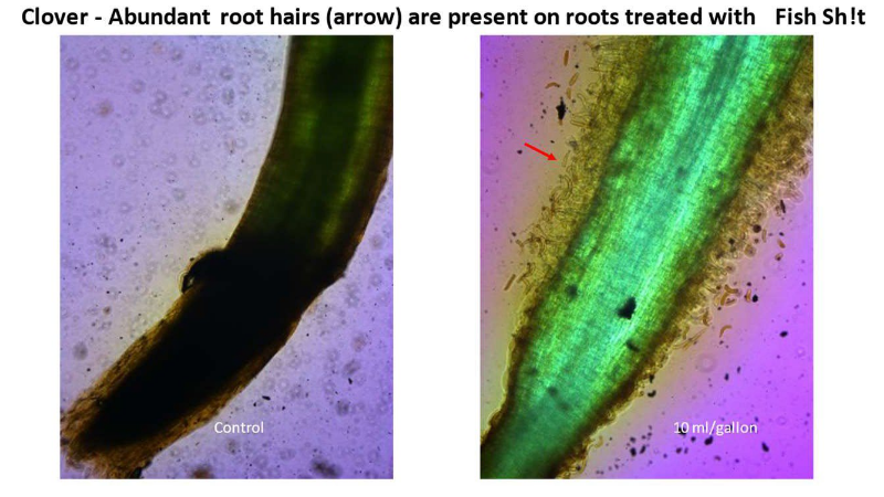 Fish Sh!t - 1 L Fish Head Farms Organic Soil Conditioner