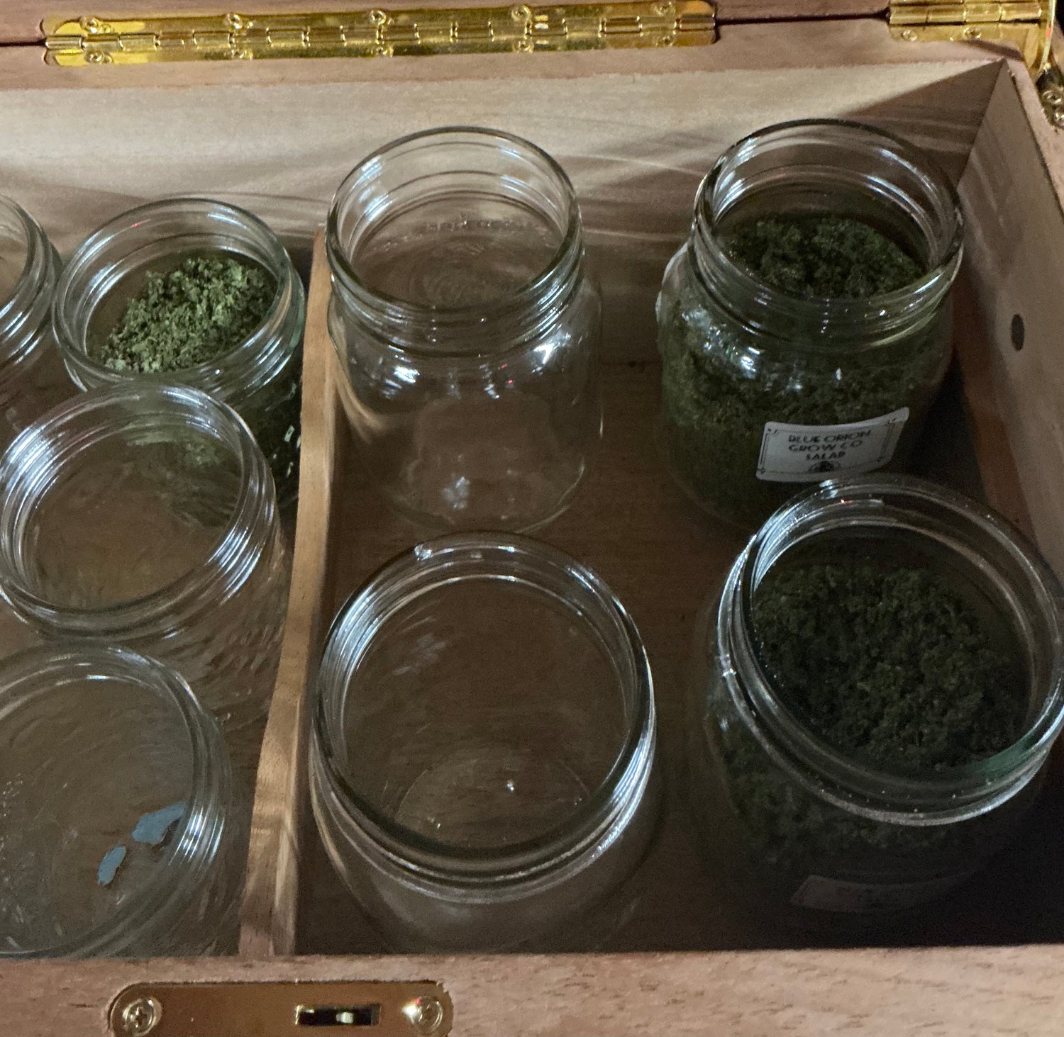 CURING, PRESERVATION & STORAGE