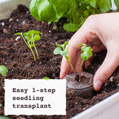 Jiffy Pellets - Peat Pellets for Seed Starting