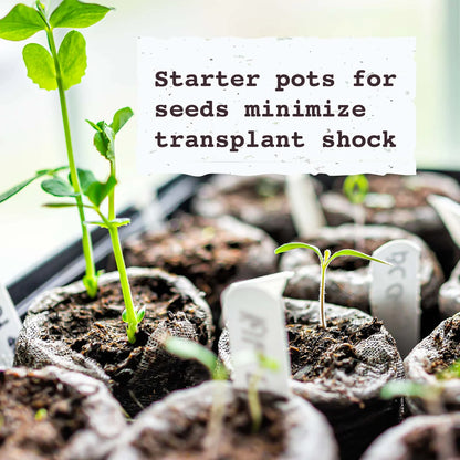 Jiffy Pellets - Peat Pellets for Seed Starting