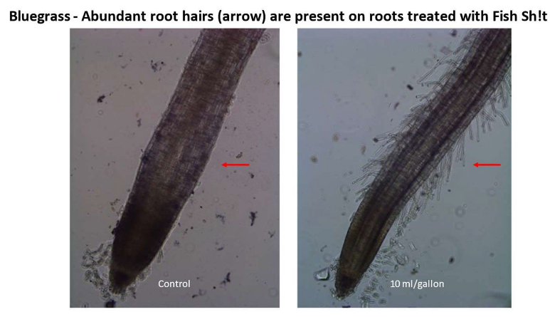 Fish Sh!t - 1 L Fish Head Farms Organic Soil Conditioner