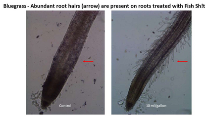 Fish Sh!t - 1 L Fish Head Farms Organic Soil Conditioner