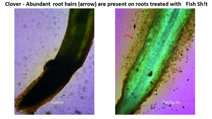Fish Sh!t - 1 L Fish Head Farms Organic Soil Conditioner