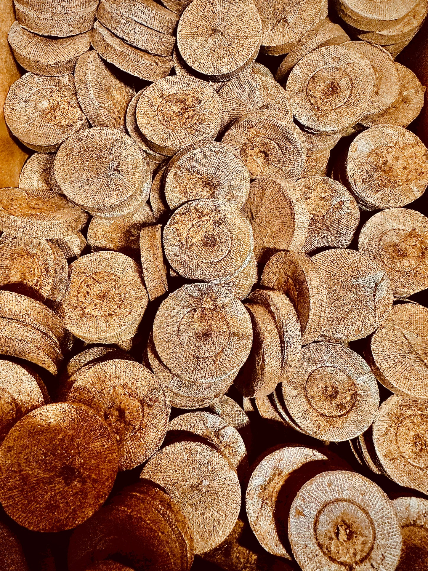 Jiffy Pellets - Peat Pellets for Seed Starting