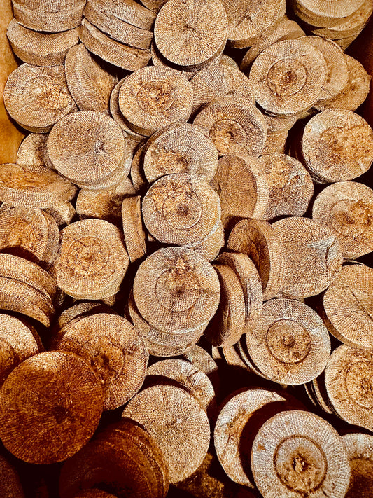 Jiffy Pellets - Peat Pellets for Seed Starting