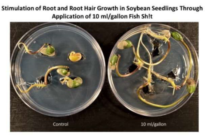 Fish Sh!t - 1 L Fish Head Farms Organic Soil Conditioner