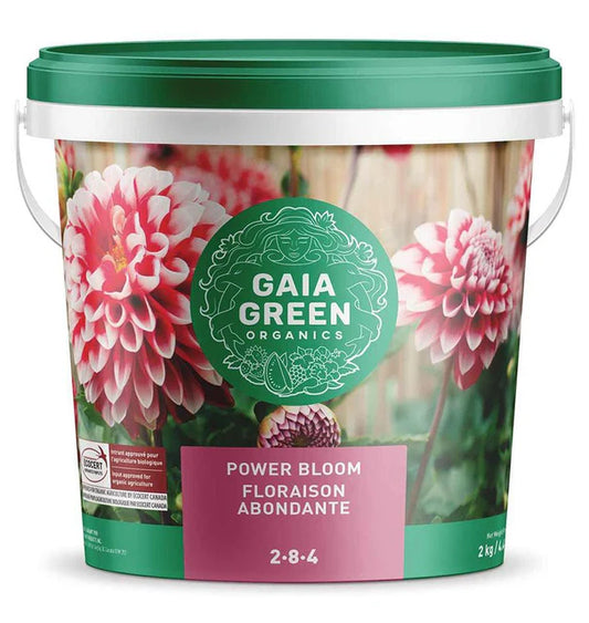 Gaia Green Power Bloom Powder 2-8-4